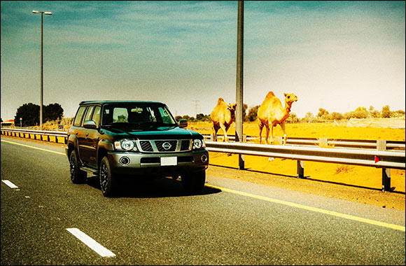 Al Masaood Automobiles Announces Launch of Special Nissan Patrol Super Safari 2024�Al Ostoura' Edition