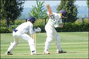 From Stats to Streaming: How Cricket Is Becoming More Accessible with the Help of Apps