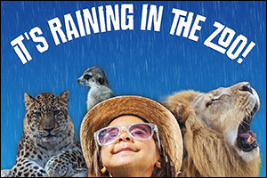 Splash into fun this Eid Al Adha with rain dance & foam party at Emirates Park Zoo & Resort