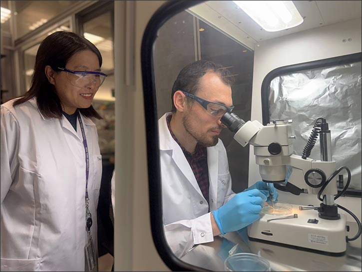 NYUAD Researchers Find Link Between Brain Growth and Mental Health Disorders