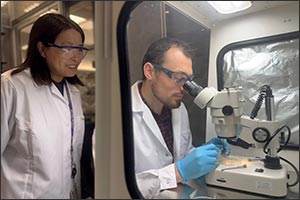 NYUAD Researchers Find Link Between Brain Growth and Mental Health Disorders