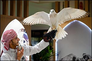 Al Ain International Hunting and Equestrian Exhibition 2025 announces huge line-up of competitions for debut edition