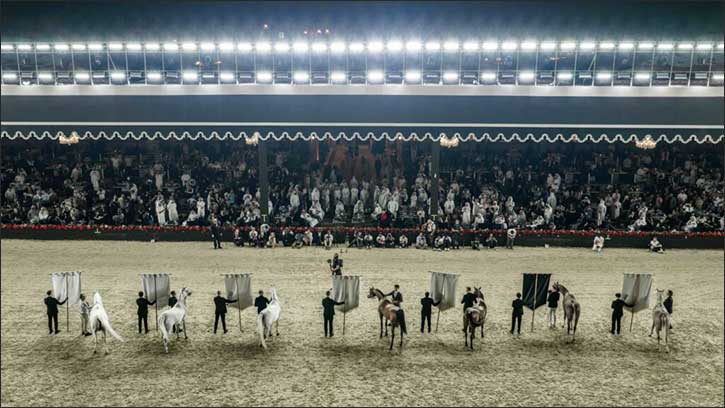 The First Edition of the World Arabian Horse Championship Supreme Concludes in Doha With Full-House Attendance and Unprecedented Excellence