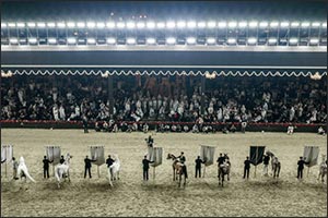 The First Edition of the World Arabian Horse Championship Supreme Concludes in Doha With Full-House Attendance and Unprecedented Excellence