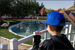 Riyadh Zoo Offers Safe, Child-Focused Environments and Experiences at Riyadh Season 2025