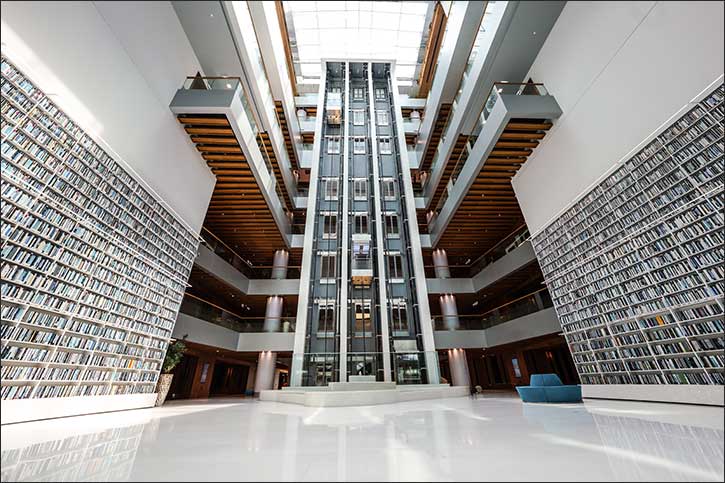 Mohammed Bin Rashid Library Celebrates World Flower Day on January 19