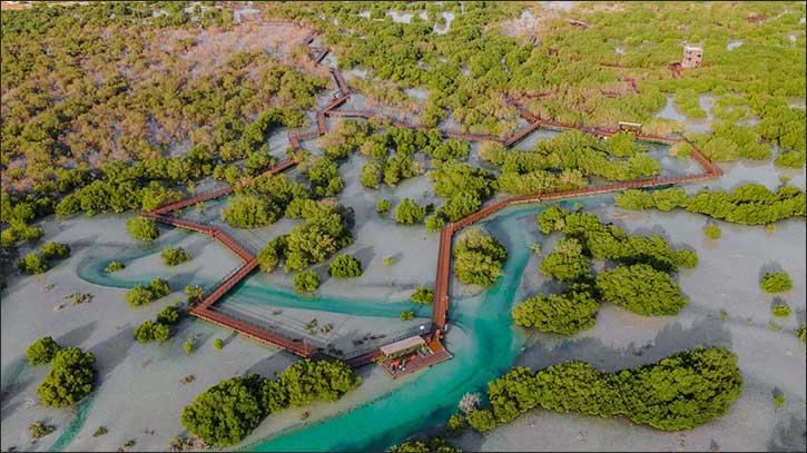 Environment Agency � Abu Dhabi launches Hamdan bin Zayed: The World's Richest Seas initiative to increase fish stocks and support food security