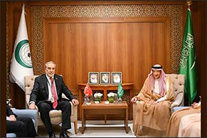 Vice Foreign Minister Meets with Turkish Deputy Foreign Minister