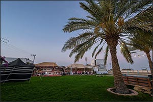 Iftar Tables in Al-Baha Farms Bring Together Locals and Visitors in a Ramadan Atmosphere