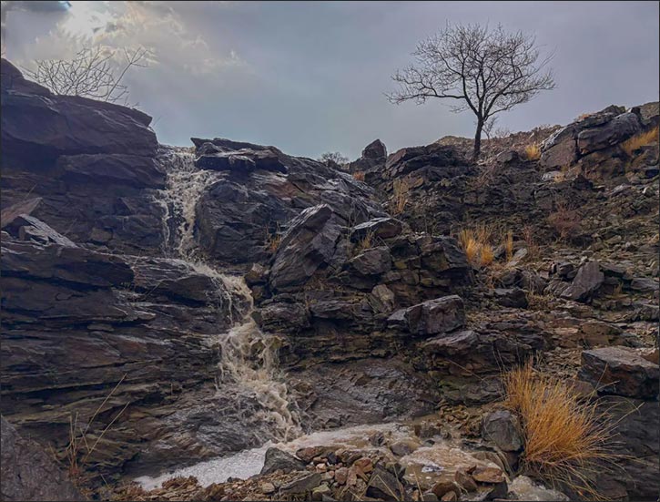 Heavy Rainfall and Spring Atmosphere Boost Al-Baha's Tourist Appeal