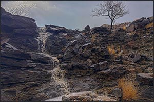 Heavy Rainfall and Spring Atmosphere Boost Al-Baha's Tourist Appeal