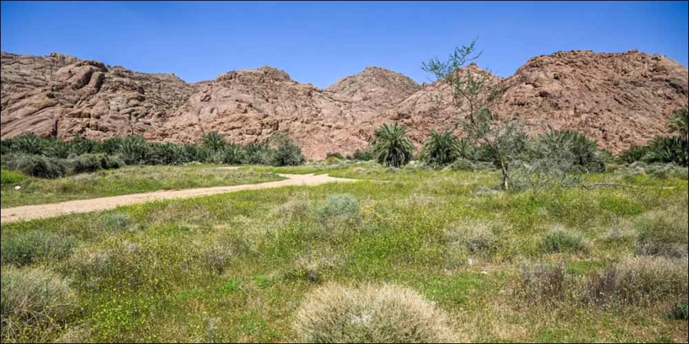 Greenery and Water Revitalize Hail's Natural Landscape