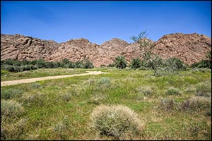 Greenery and Water Revitalize Hail's Natural Landscape