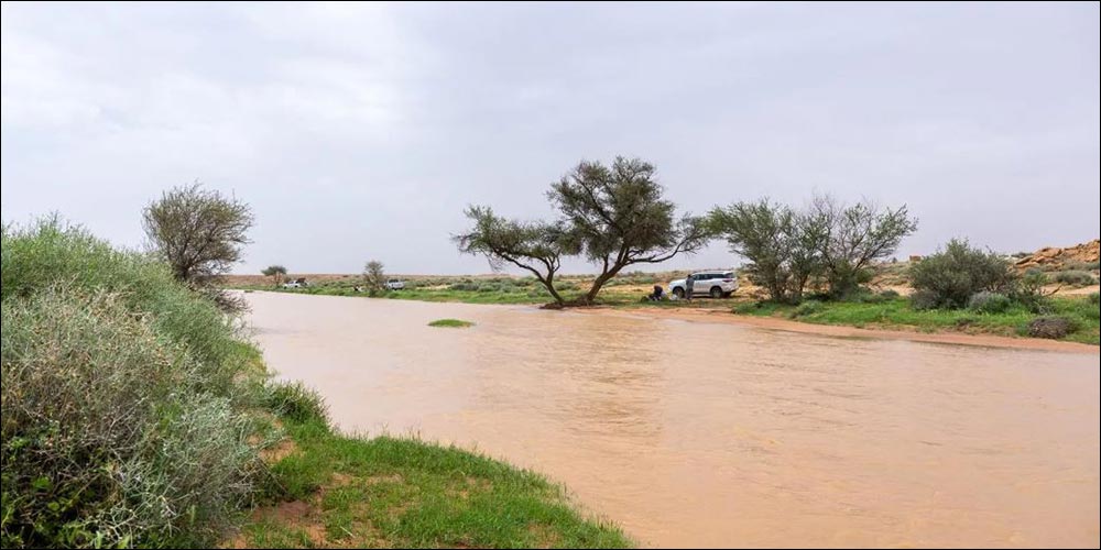 Rainfall Paints Scenic Rural Landscapes in Northeast of Qassim