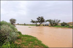Rainfall Paints Scenic Rural Landscapes in Northeast of Qassim