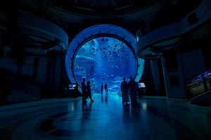 5 fun things to do in Abu Dhabi this International Family Day