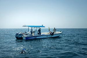 Environment Agency � Abu Dhabi completes oyster bed mapping survey across emirate's marine waters