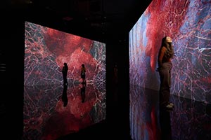 Northwestern University in Qatar's Media Majlis Museum, in partnership with ACMI, announces 'All That Is Unseen' by Marshmallow Laser Feast � the acclaimed artist collective's firs