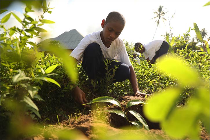 Education Above All Foundation, Government of Zanzibar, and UNICEF Join Forces to Equip Young People with Climate Resilience and Sustainable Development Skills