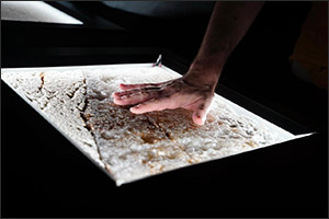 Msheireb Museums Hosts Internationally Acclaimed Italian Exhibition “Marmo”
