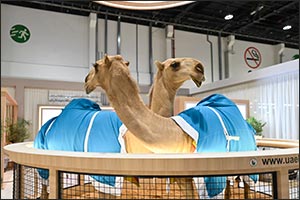Treasures and innovation takes centre stage at the Abu Dhabi International Hunting and Equestrian Exhibition 2025