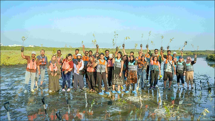 Hotpack employees lead mangrove planting initiative at Al Zora Reserve in Ajman