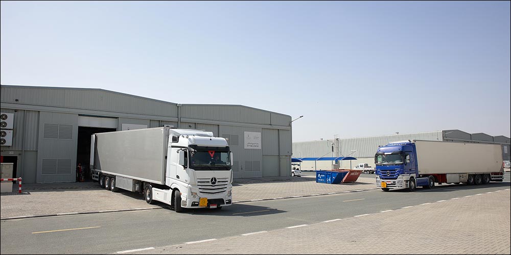 Under the directives of Mohammed bin Rashid Dubai Humanitarian dispatches WHO medical aid shipment to Gaza
