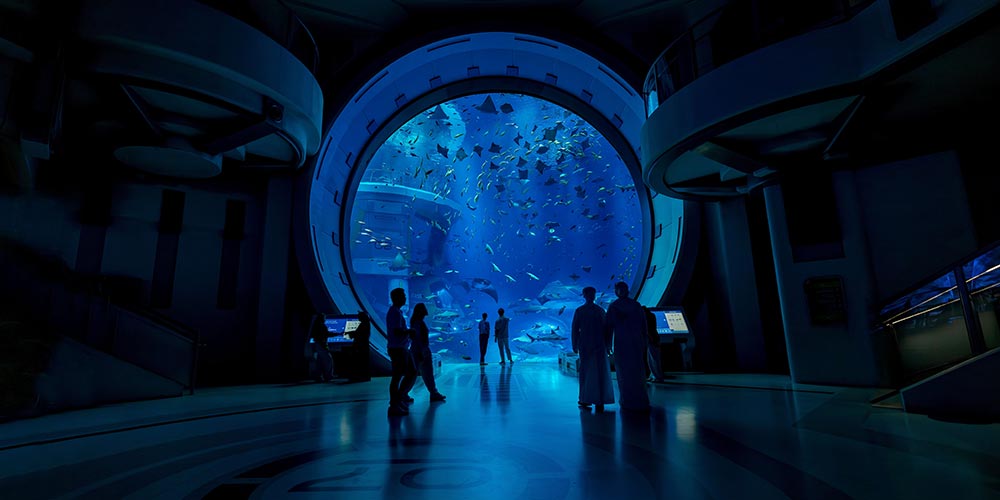 5 fun things to do in Abu Dhabi this International Family Day