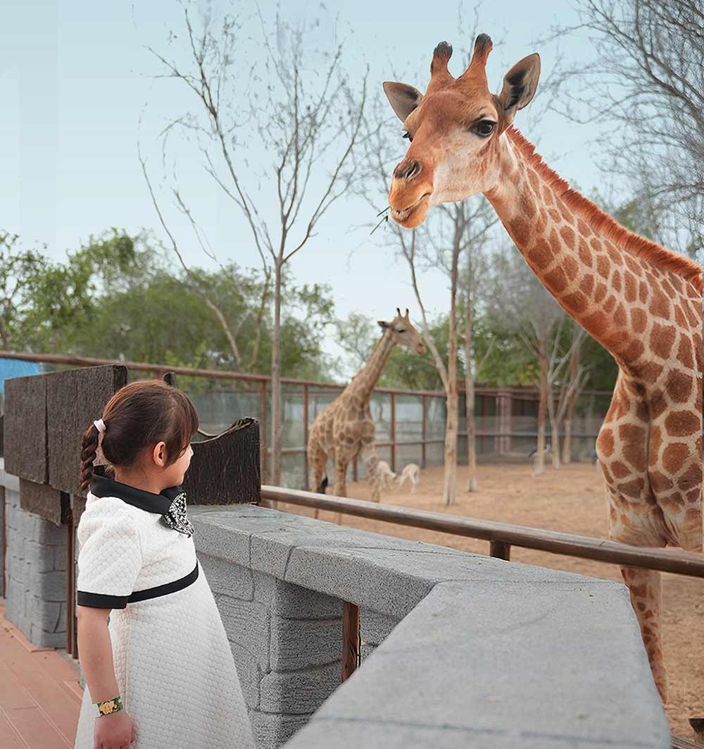 Kids Go & Eat for Free at Emirates Park Zoo & Resort