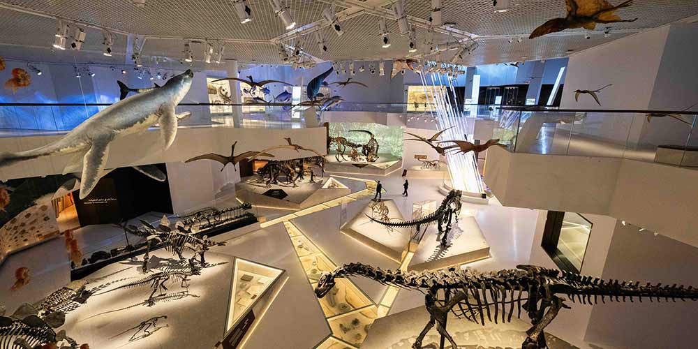 Natural History Museum Abu Dhabi celebrates International Museum Day with Free entry and hands-on experiences for all ages