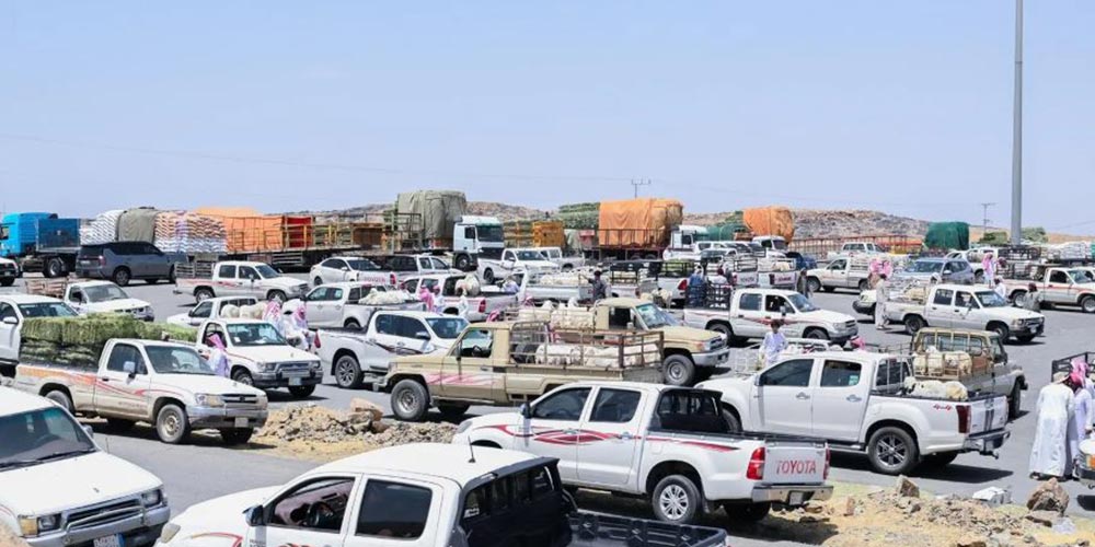 Al-Baha Livestock Markets Buzz with Activity Ahead of Eid Al-Adha