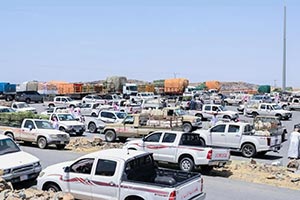 Al-Baha Livestock Markets Buzz with Activity Ahead of Eid Al-Adha