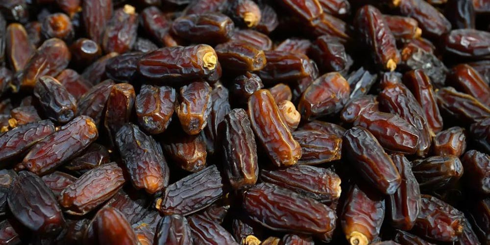 Madinah Region Ranks Third in Saudi Date Production at 344,000 Tons Annually