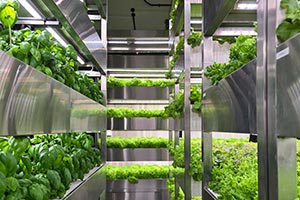 Dubai Municipality tours first vertical farm inside residential tower in Al Habtoor City as part of efforts to strengthen food security ecosystem