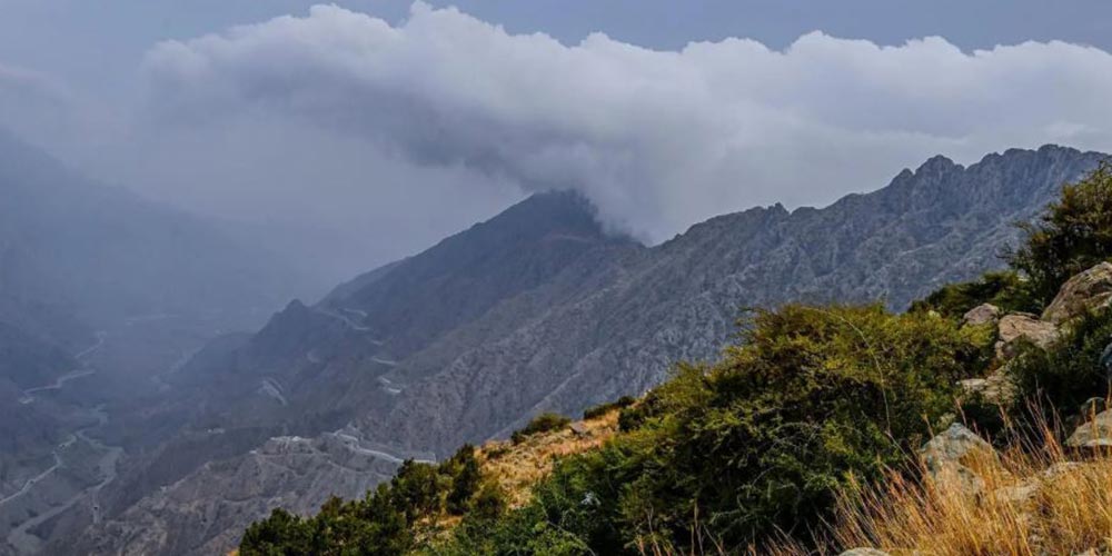 Fog, Rainfall and Greenery Transform Al-Baha into Summer Tourist Destination