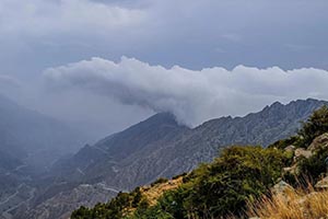 Fog, Rainfall and Greenery Transform Al-Baha into Summer Tourist Destination