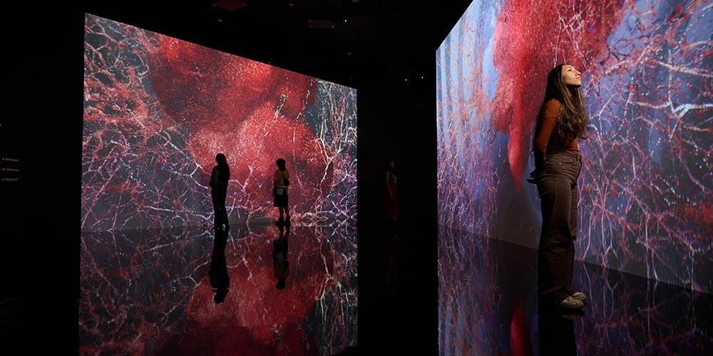 Northwestern University in Qatar's Media Majlis Museum, in partnership with ACMI, announces 'All That Is Unseen' by Marshmallow Laser Feast — the acclaimed artist collective's firs