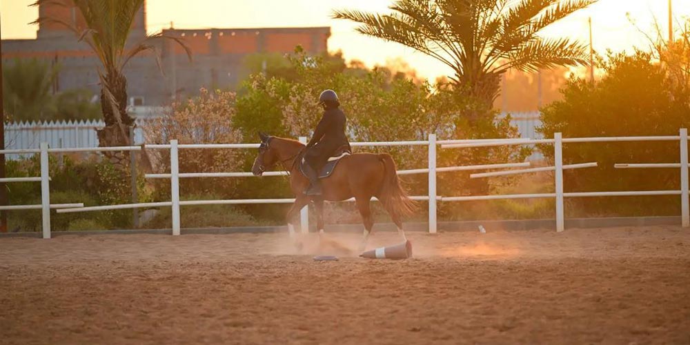 Equestrian Sport Gains Momentum Among Girls in Tabuk Region