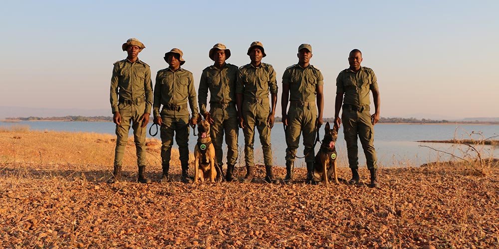 K9 unit flown by Emirates SkyCargo to Zimbabwe begins frontline operations