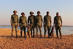 K9 unit flown by Emirates SkyCargo to Zimbabwe begins frontline operations