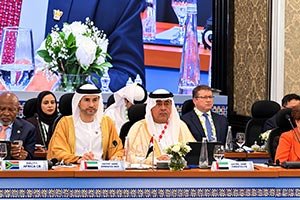 UAE Deepens Its Engagement in Financial Cooperation and Development Finance at BRICS and New Development Bank Meetings in India