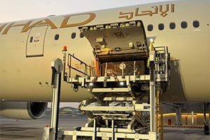 Etihad Cargo Supports Wildlife Conservation With Rescue Of Two Brown Bears From Russia To Ireland