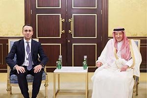 Vice Minister of Foreign Affairs Meets EU Special Representative for the Gulf Region